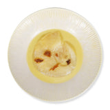 Eaten Delight - Shark’s Fin Soup with Matsutake Mushroom (2 Boxes)