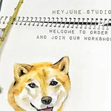 HeyJune Studio - Pet Lovers Workshop (Price per person)