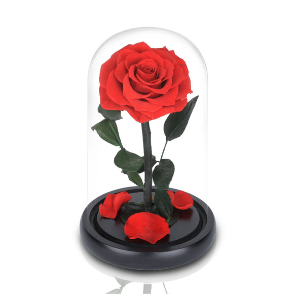 皇家厄瓜多爾單支紅玫瑰永生花玻璃罩夜燈擺設/經典厄瓜多爾巨型永恆紅玫瑰玻璃圓頂夜燈擺設 (我只愛你) - Mr Floral Gift Shop