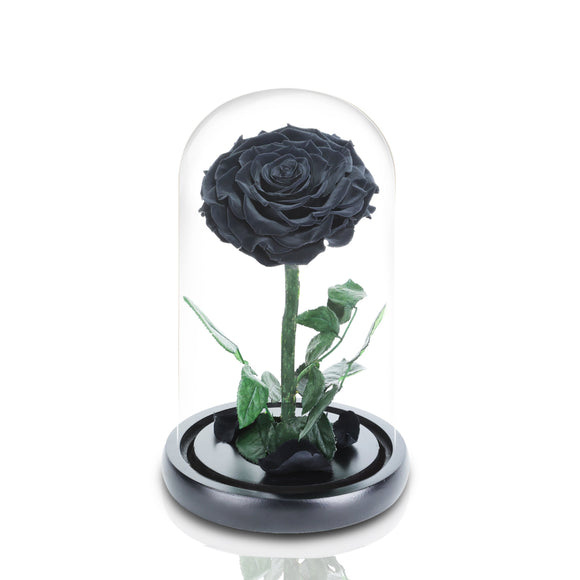 Royal Everlasting Classic Black Ecuadorian Rose Glass Dome with LED Light - Mr Floral Gift Shop