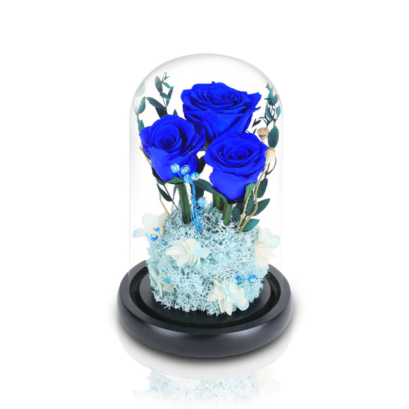 皇家厄瓜多爾3朵永恆藍玫瑰玻璃圓頂夜燈擺設 (美麗的愛) - Mr Floral Gift Shop
