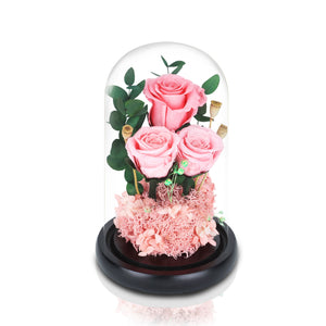 Royal Everlasting Pink Ecuadorian 3 Roses Glass Dome with LED Light - Mr Floral Gift Shop