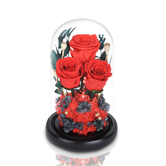 皇家厄瓜多爾3朵永恆紅玫瑰玻璃圓頂夜燈擺設 (燃燒的愛) - Mr Floral Gift Shop