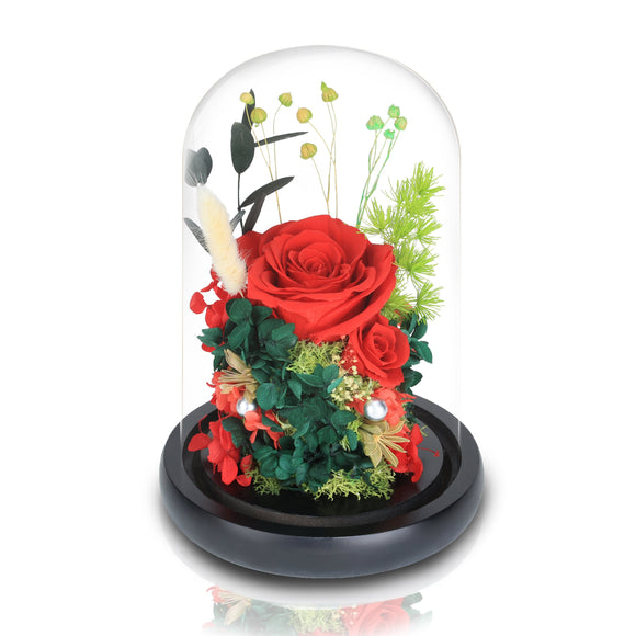 皇家厄瓜多爾經典的愛紅玫瑰玻璃圓頂夜燈擺設 (經典的愛) - Mr Floral Gift Shop