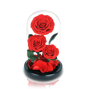 Royal Everlasting Classic Red Ecuadorian 3 Roses Glass Dome - Mr Floral Gift Shop