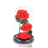 皇家厄瓜多爾2朵紅玫瑰永生花玻璃罩擺設 (我只有你紅玫)  (沒有夜燈) - Mr Floral Gift Shop