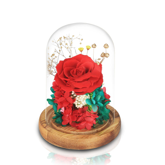 厄瓜多爾永恆紅玫瑰玻璃圓頂夜燈擺設 (紅玫瑰激情的愛) - Mr Floral Gift Shop - OKiBook Shop