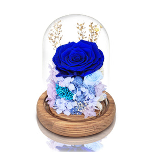厄瓜多爾永恆藍玫瑰玻璃圓頂夜燈擺設 (藍玫瑰神秘的愛) - Mr Floral Gift Shop - OKiBook Shop