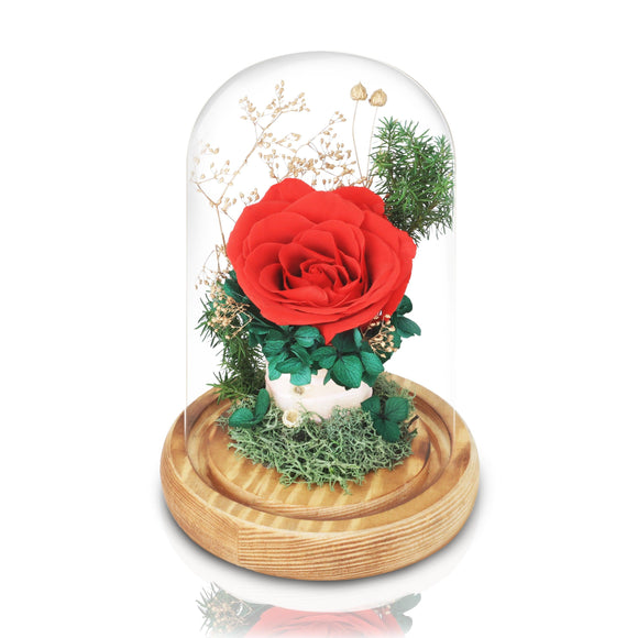 厄瓜多爾永恆紅玫瑰粉紅絲帶玻璃圓頂夜燈擺設 (紅玫瑰奉獻與承諾) - Mr Floral Gift Shop - OKiBook Shop