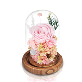 厄瓜多爾永恆粉紅色玫瑰玻璃圓頂夜燈擺設 (粉玫瑰堅實的愛情) - Mr Floral Gift Shop - OKiBook Shop