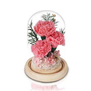 厄瓜多爾桃粉色康乃馨玻璃圓頂夜燈擺設 (3朵粉色康乃馨承諾我愛你) - Mr Floral Gift Shop - OKiBook Shop