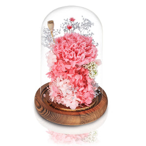 經典厄瓜多爾桃粉色康乃馨玻璃圓頂夜燈擺設 (粉色康乃馨美麗亮麗) - Mr Floral Gift Shop