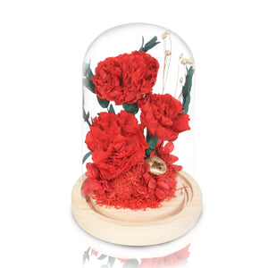 厄瓜多爾深紅色康乃馨玻璃圓頂夜燈擺設 (3朵深紅色康乃馨永遠愛你此情不渝) - Mr Floral Gift Shop - OKiBook Shop